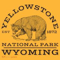 Yellowstone National Park Bear Wyoming Hike Outdoors Sustainable Knit Beanie thumb 2