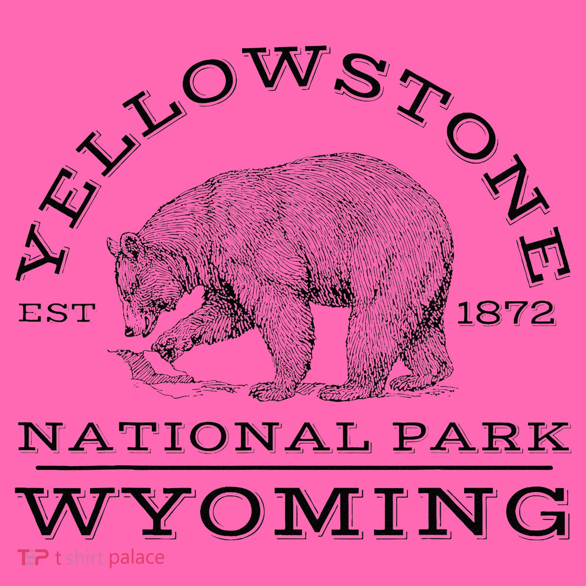 Yellowstone National Park Bear Wyoming Hike Outdoors Stripe Pom Pom Beanie