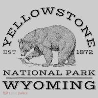 Yellowstone National Park Bear Wyoming Hike Outdoors Tie-Dye T-Shirt thumb 2