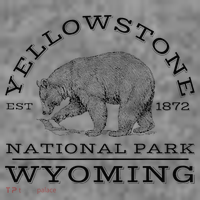 Yellowstone National Park Bear Wyoming Hike Outdoors Hooded Wearable Blanket thumb 2