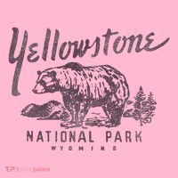 Yellowstone National Park Bear Graphic Coaster thumb 2