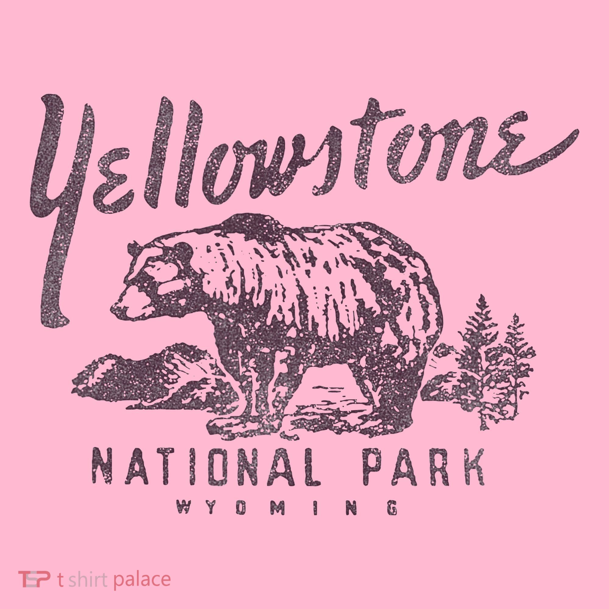 Yellowstone National Park Bear Graphic Coaster