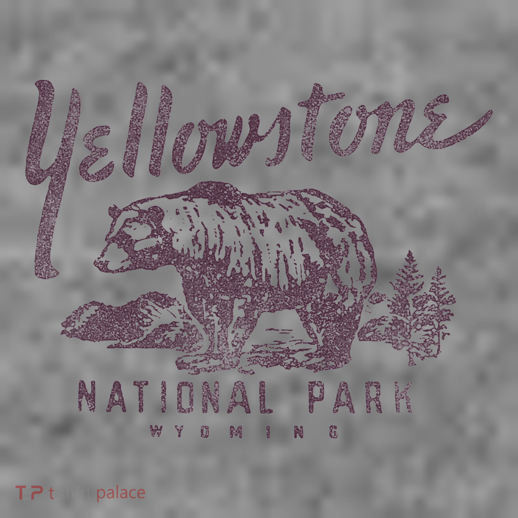 Yellowstone National Park Bear Graphic Toddler Hoodie