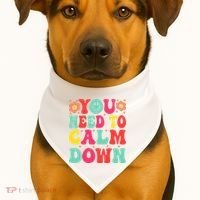 You Need To Calm Down USA-Made Doggie Bandana thumb 1