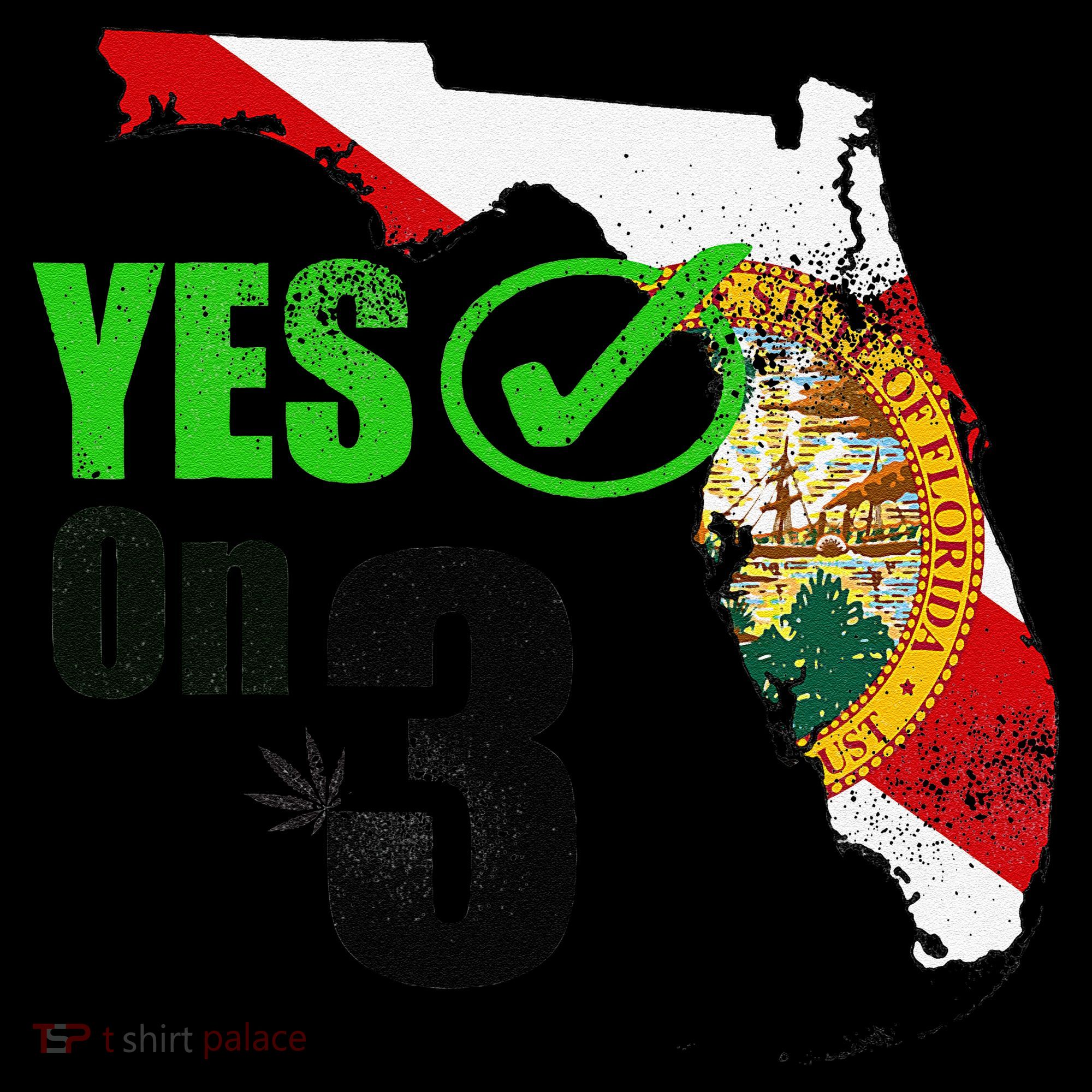 Yes On 3 Florida Women's Long Sleeve Shirt