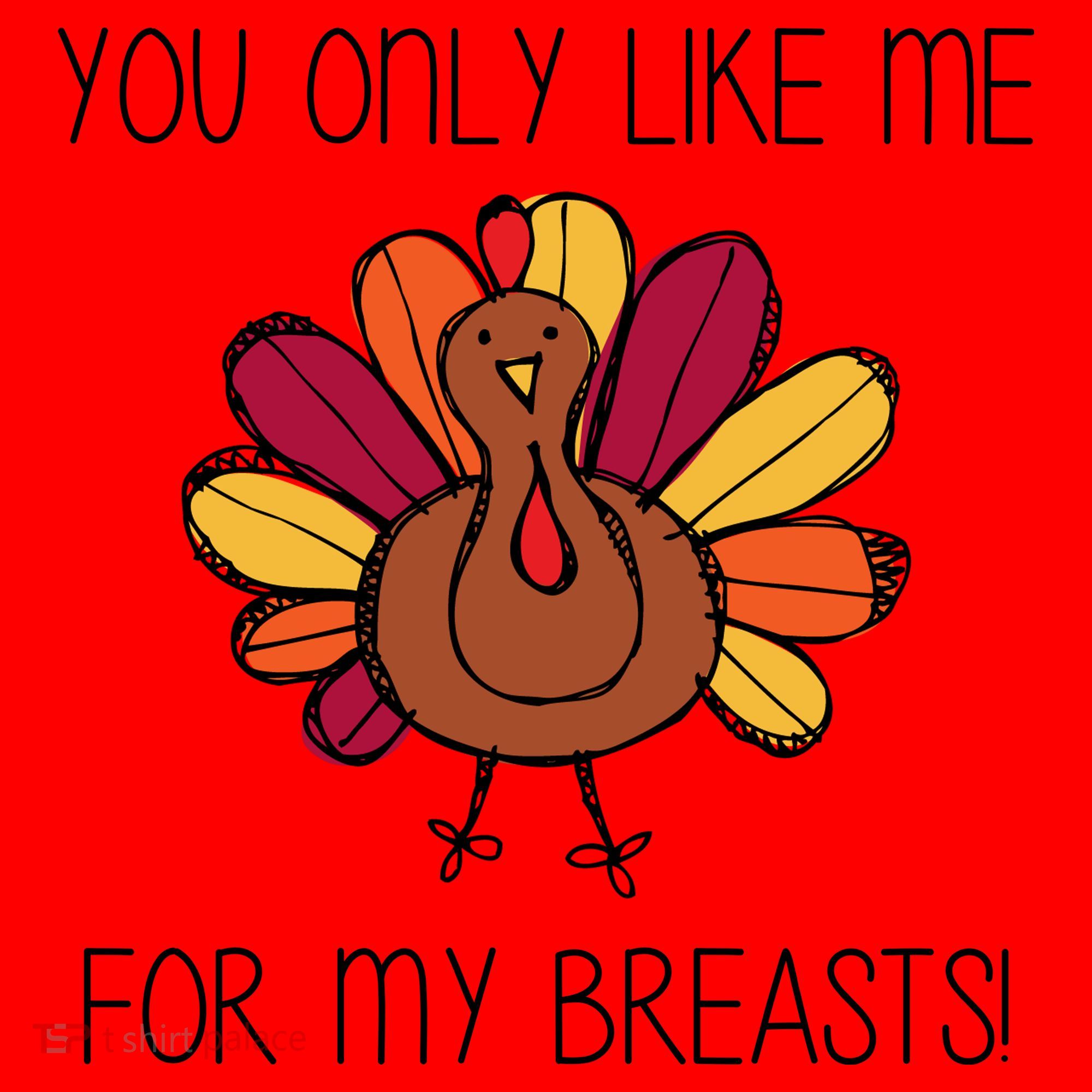 You Only Like Me For The Breasts Funny Turkey Santa Hat