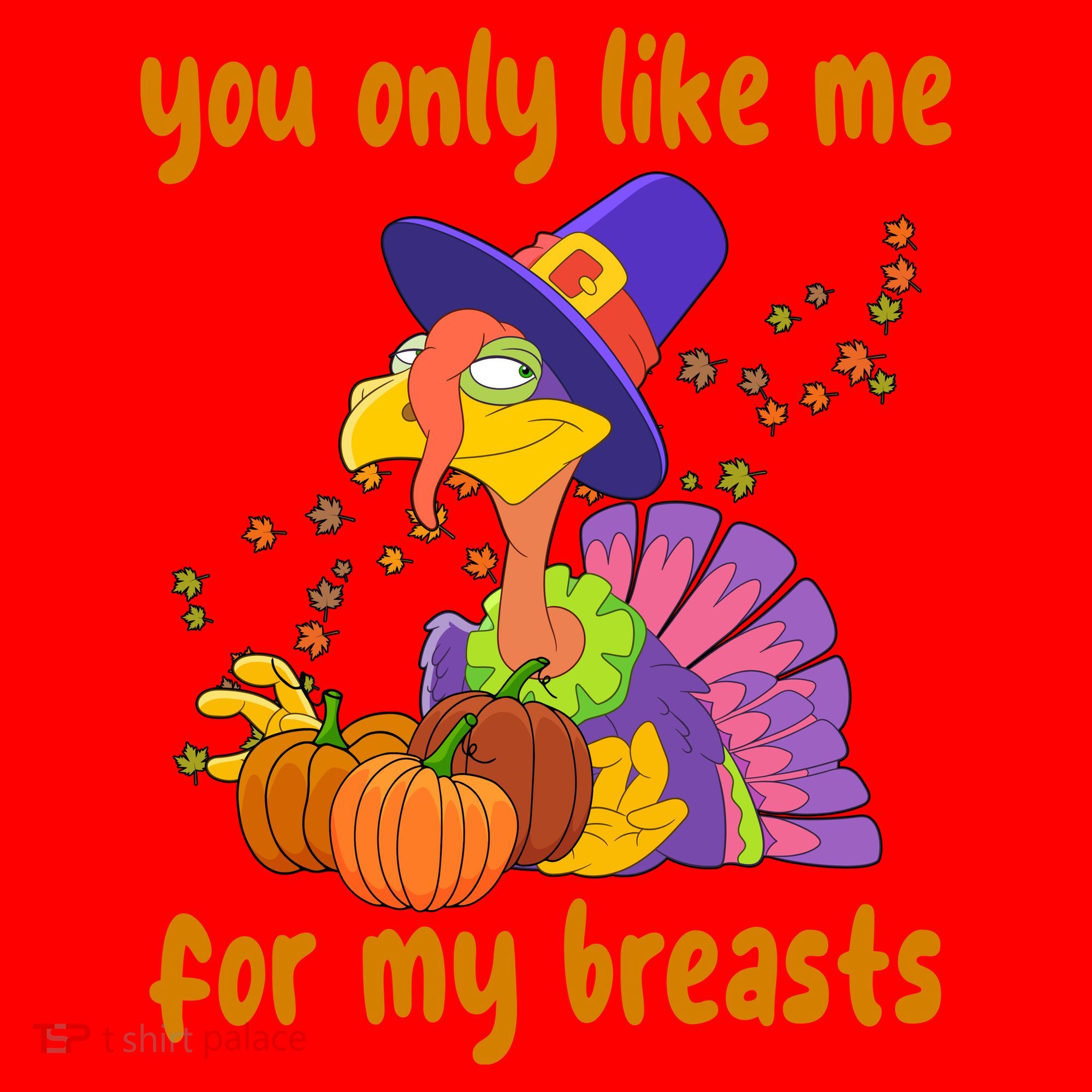 You Only Like Me For My Breasts Funny Thanksgiving Turkey Santa Hat