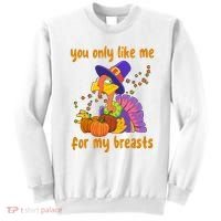 You Only Like Me For My Breasts Funny Thanksgiving Turkey Sweatshirt thumb 0