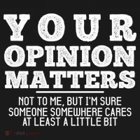 Your Opinion Matters Not To Me Funny Sarcastic Humor Retro Funny Gift Women's Hoodie thumb 2