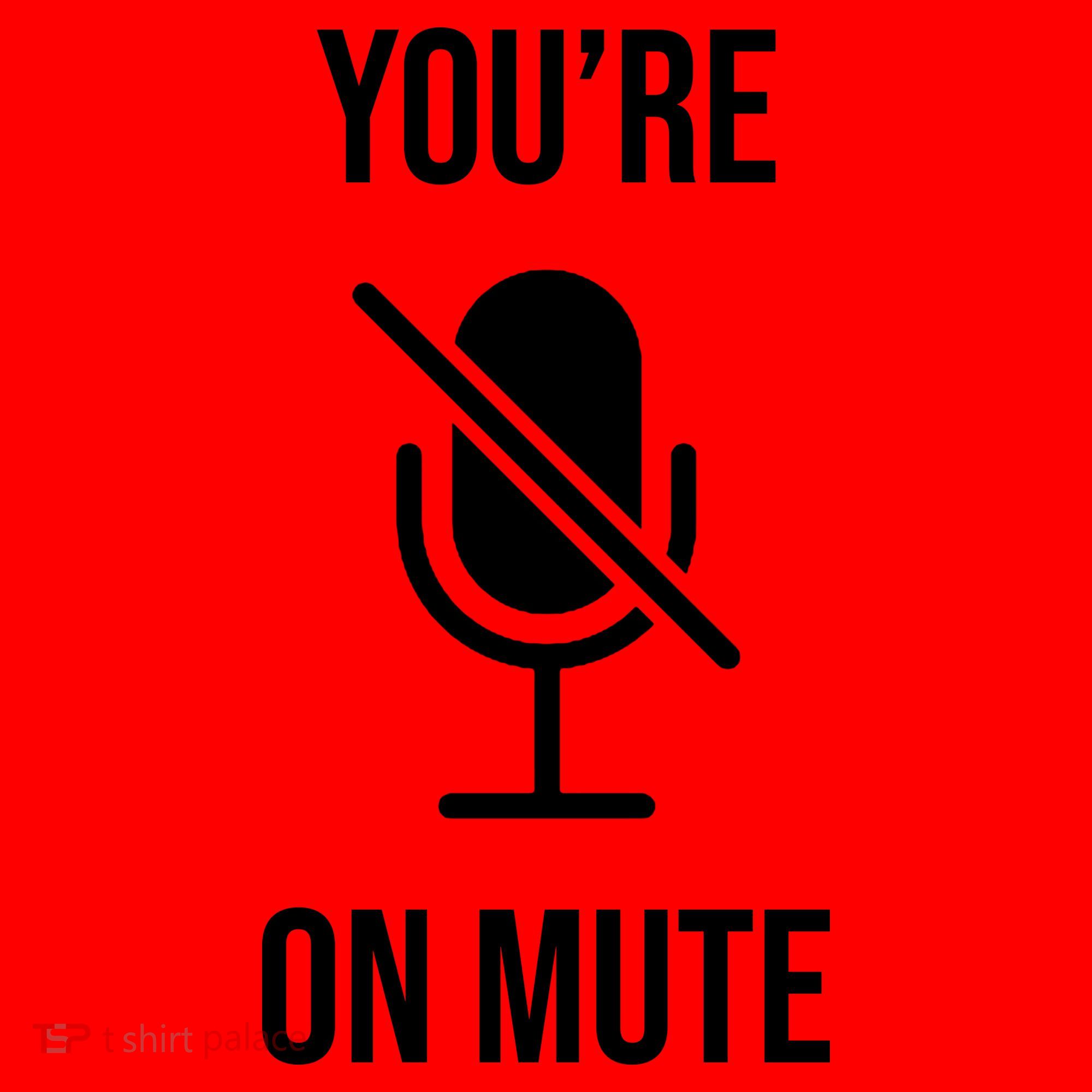 You're On Mute Online Joke Santa Hat
