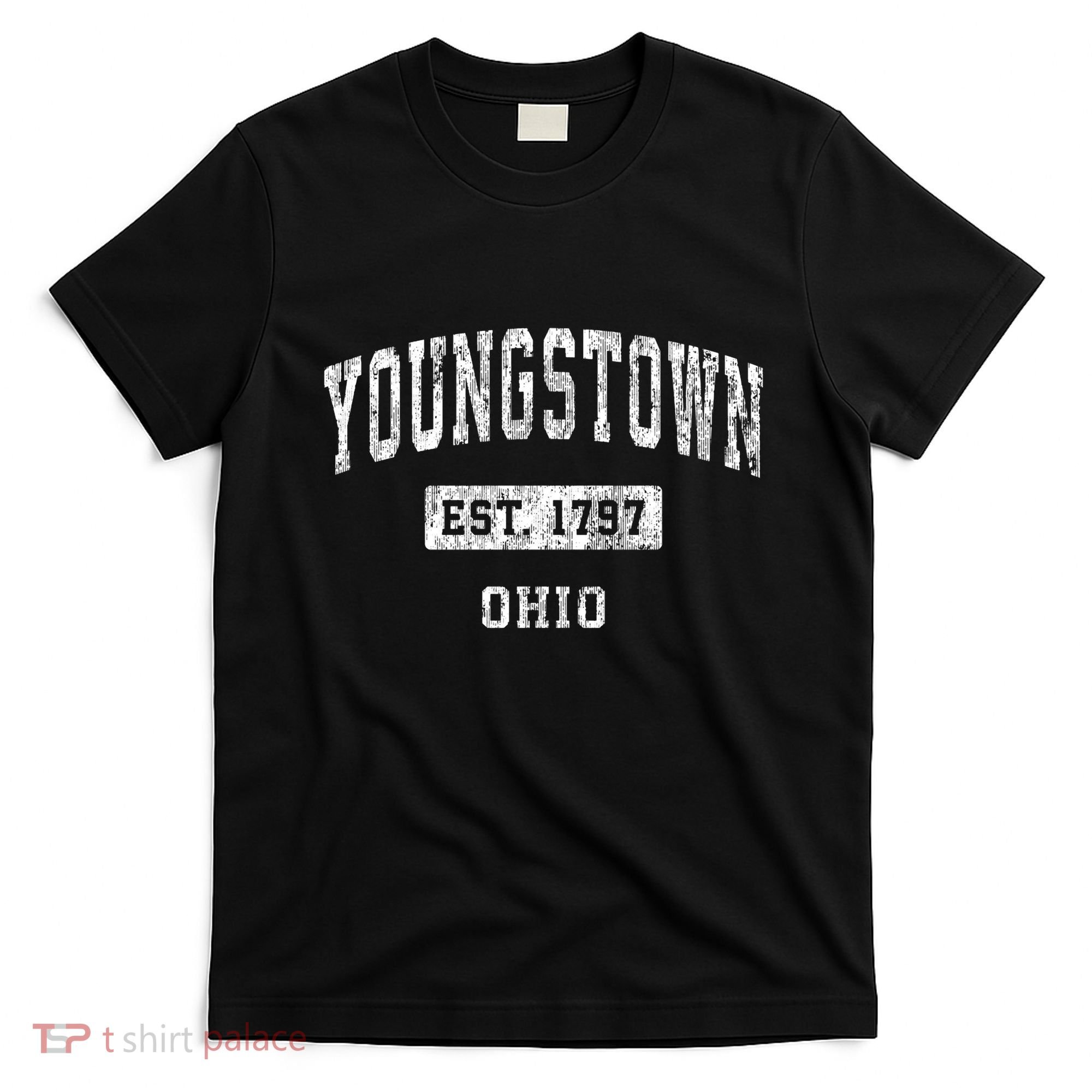 Youngstown Ohio Oh Vintage Established Sports T-Shirt