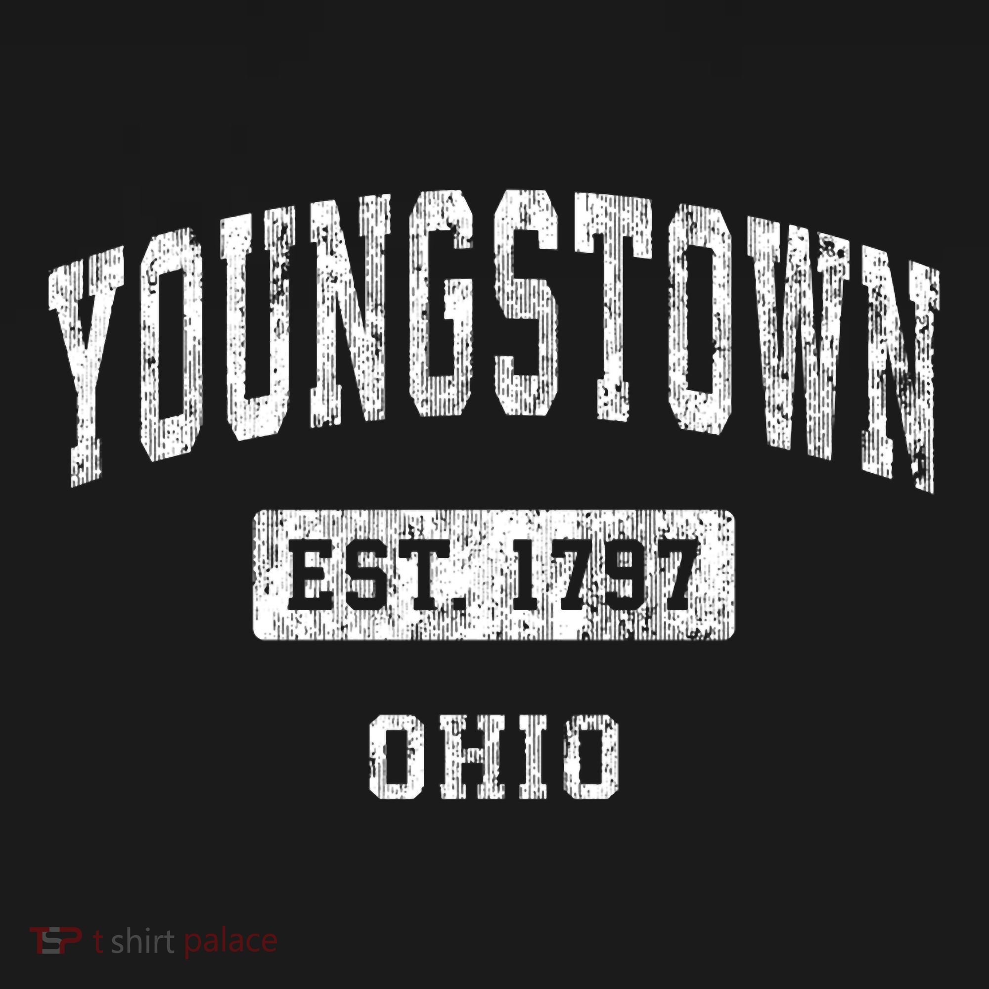 Youngstown Ohio Oh Vintage Established Sports T-Shirt