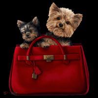 Yorki Dogs in Bag Coaster thumb 2