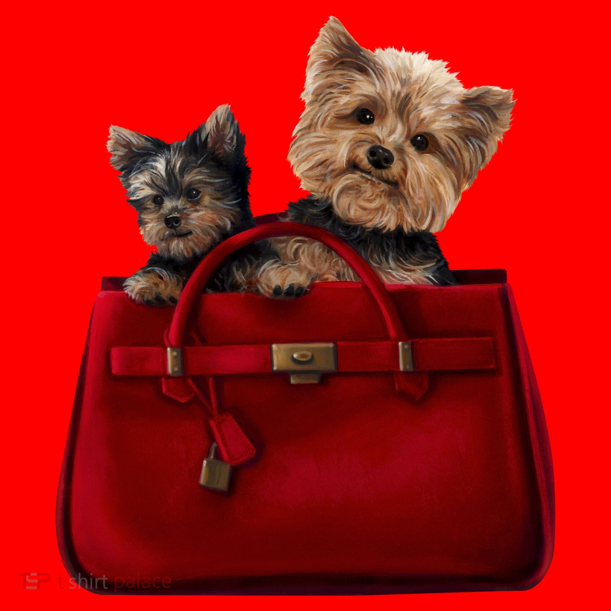 Yorki Dogs in Bag Santa Hat