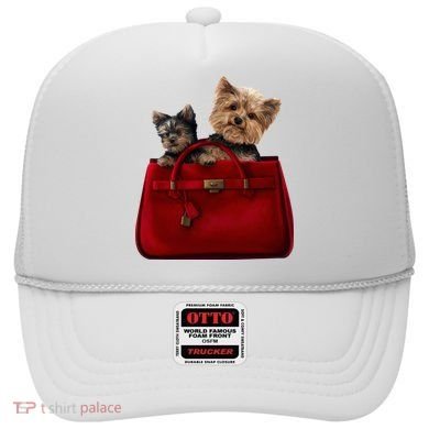 Yorki Dogs in Bag Hat