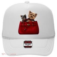 Yorki Dogs in Bag Hat thumb 0