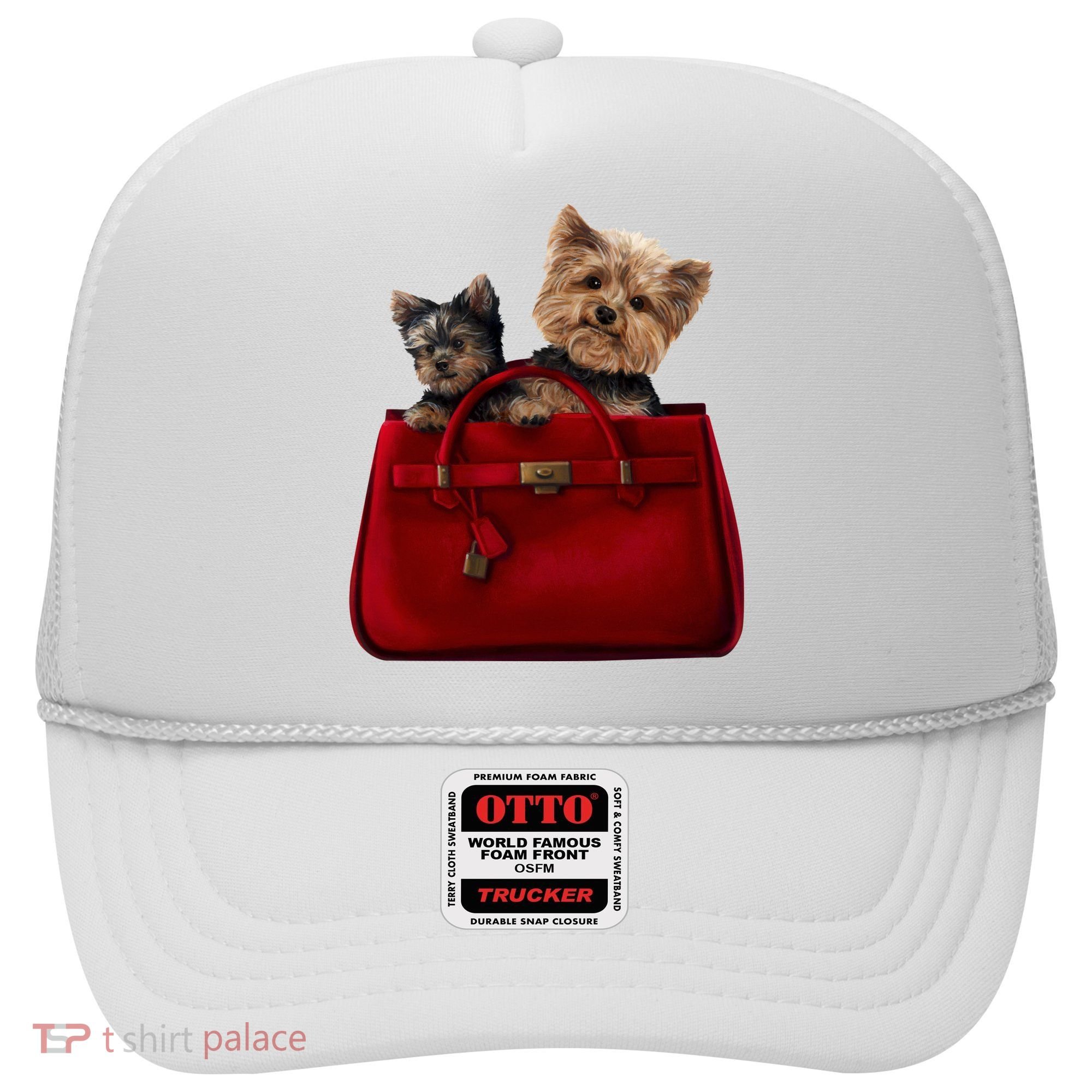 Yorki Dogs in Bag Hat