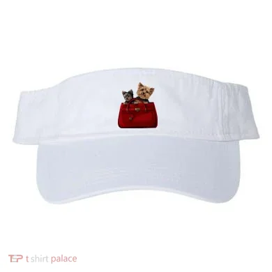 Visor