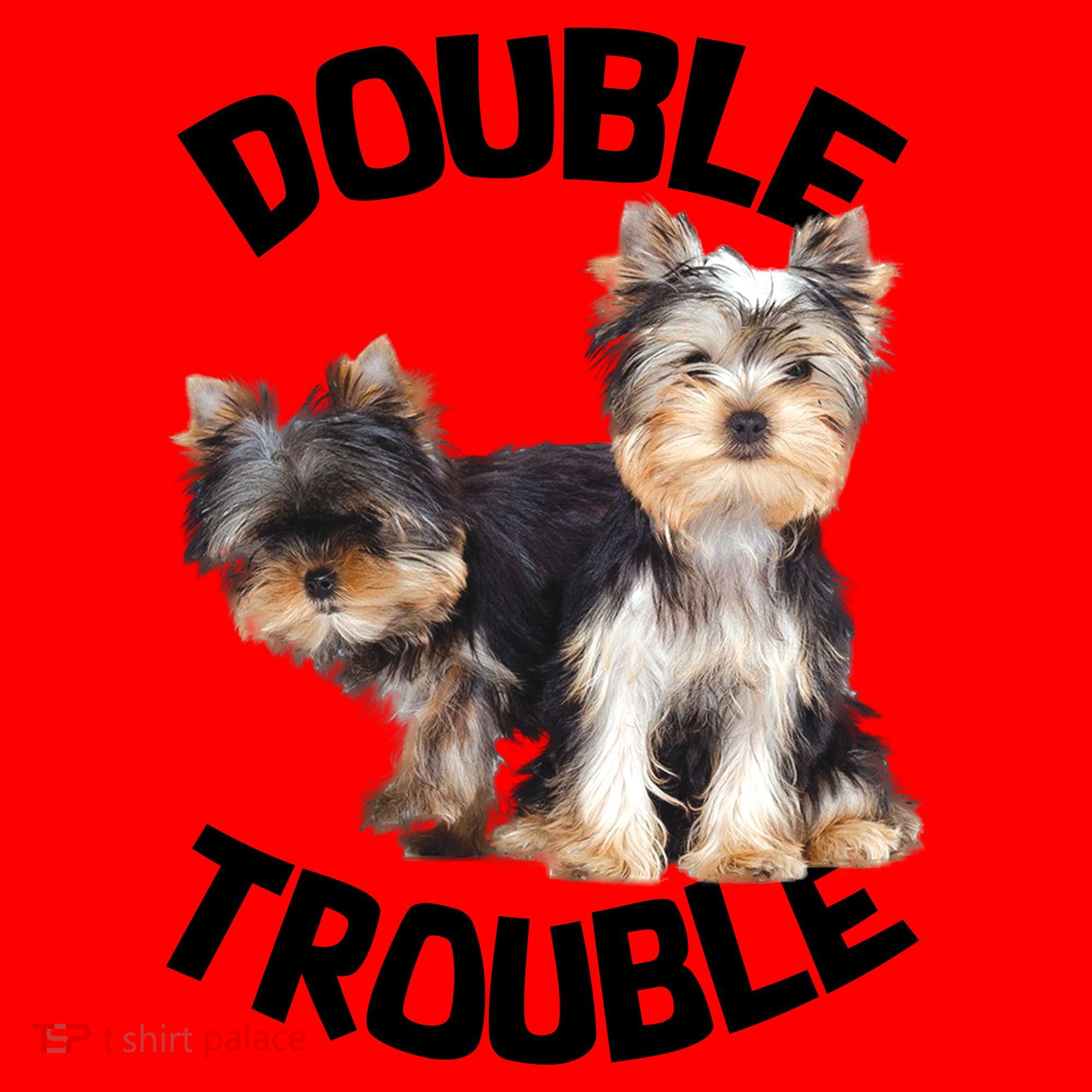Yorkie Double Trouble Santa Hat