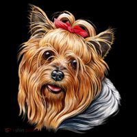 Yorkie Girl Bucket Hat thumb 4