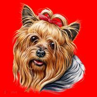 Yorkie Girl Santa Hat thumb 1