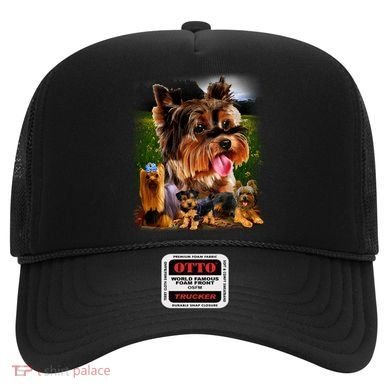 Yorkshire Terrier Hat