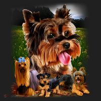 Yorkshire Terrier Hat thumb 2