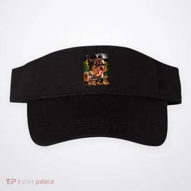 Visor