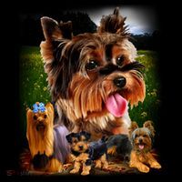 Yorkshire Terrier Kids Long Sleeve Shirt thumb 2