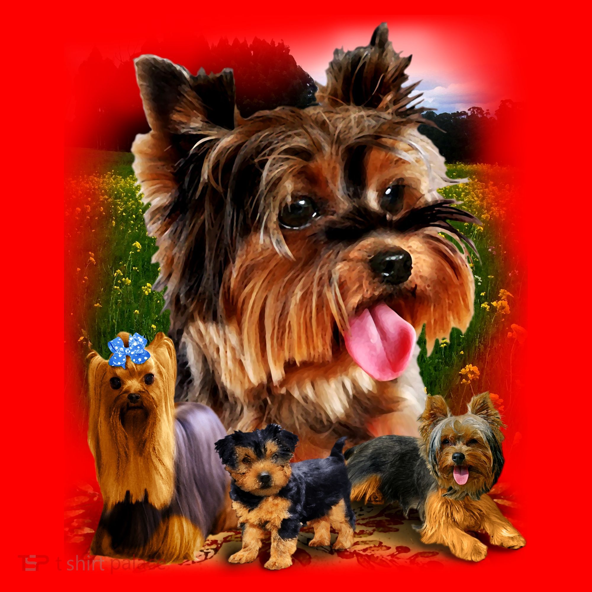 Yorkshire Terrier Santa Hat