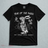 Year Of The Rabbit Chinese Zodiac Chinese New Year T-Shirt thumb 5