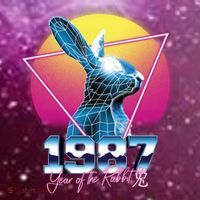Year Of The Rabbit – Chinese Zodiac – Synthwave Style Coaster thumb 2