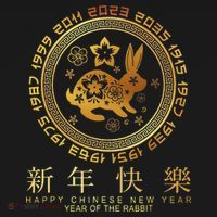 Year Of The Rabbit Chinese Zodiac Chinese New Year Women's Tank Top thumb 5