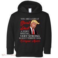 You Are a Great Dad Donald Trump Father's Day Toddler Hoodie thumb 0