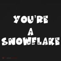 You are a Snowflake - Pro Donald Trump Ornament thumb 1