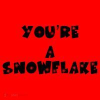 You are a Snowflake - Pro Donald Trump Santa Hat thumb 1