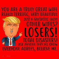 You Are A Truly Great Wife Donald Trump Santa Hat thumb 1