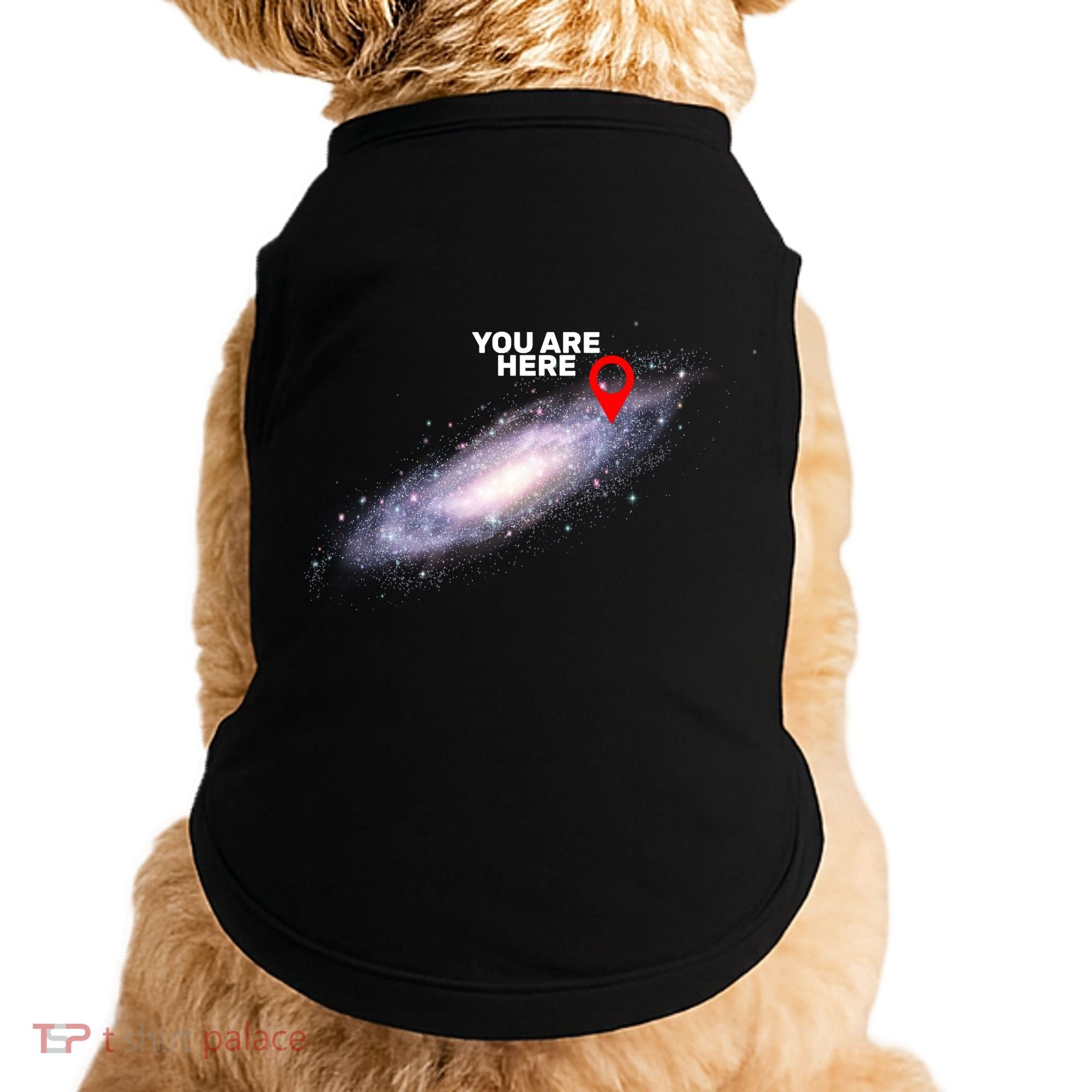 You are Here Galaxy Doggie Tank