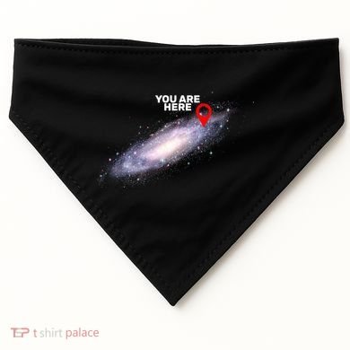 You are Here Galaxy USA-Made Doggie Bandana