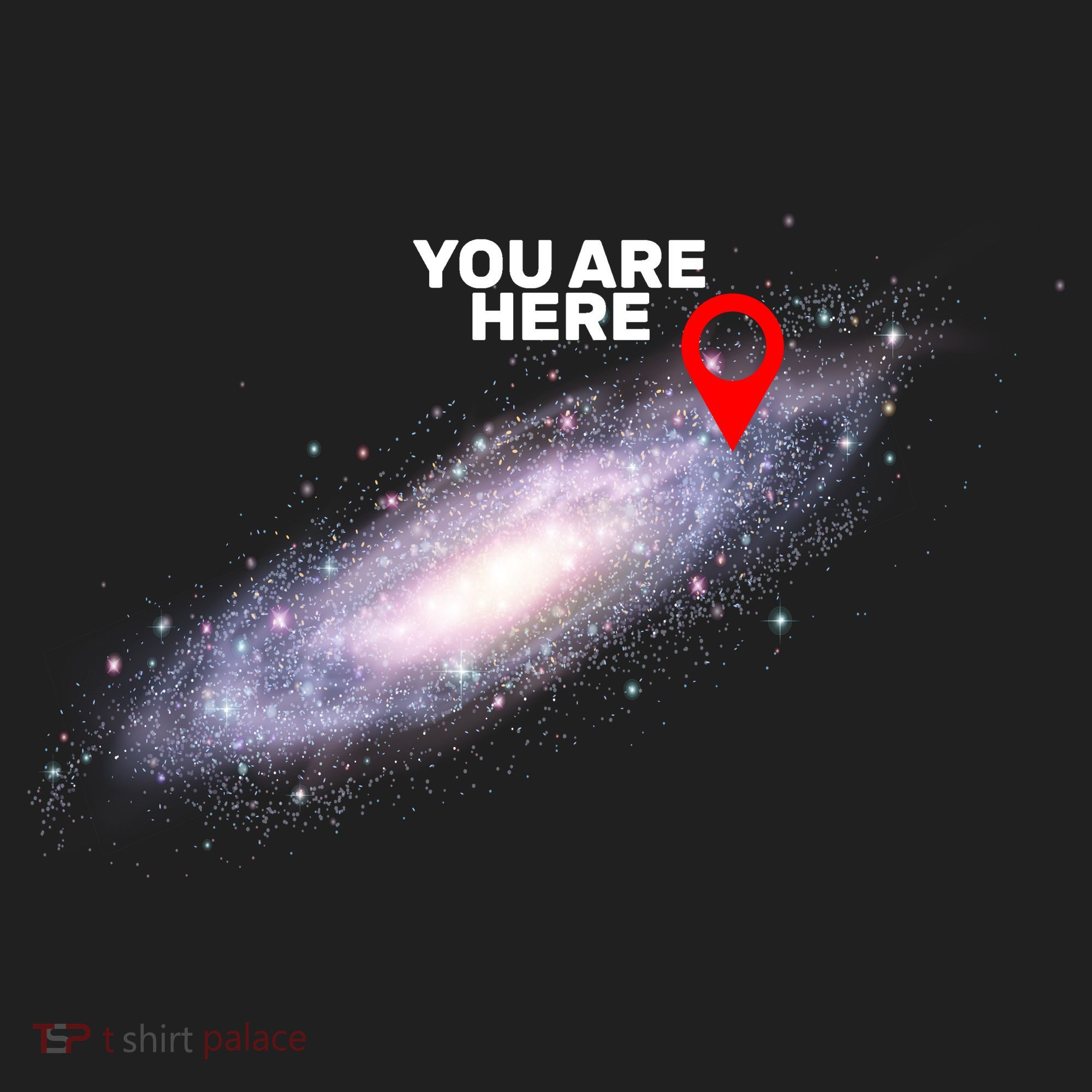You are Here Galaxy Tumbler