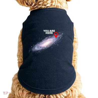 Doggie Tank