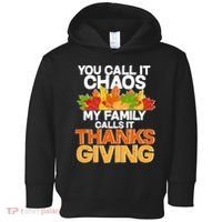 You Call It Chaos My Family Calls It Funny Thanksgiving Toddler Hoodie thumb 0