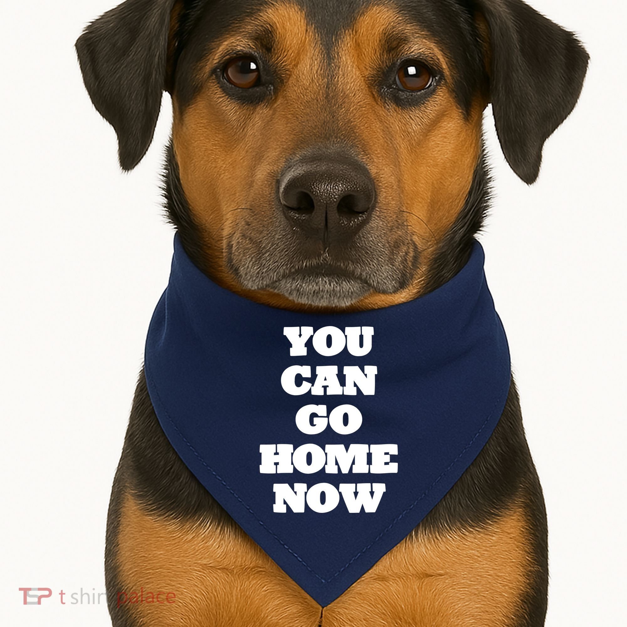 You Can Go Home Now USA-Made Doggie Bandana