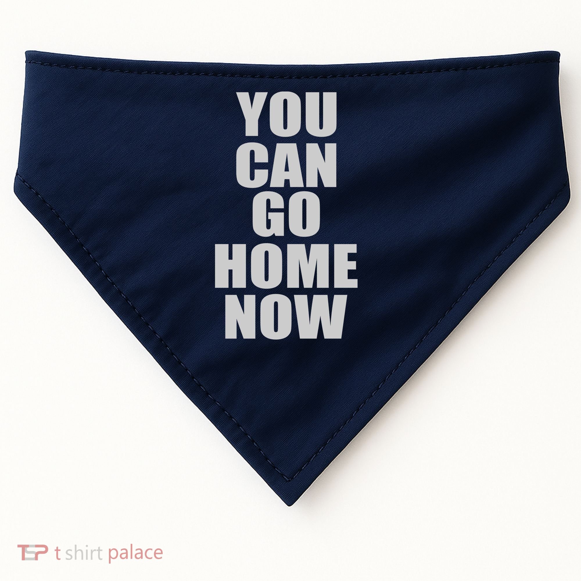 You Can Go Home Now Work Out Training Sweat USA-Made Doggie Bandana