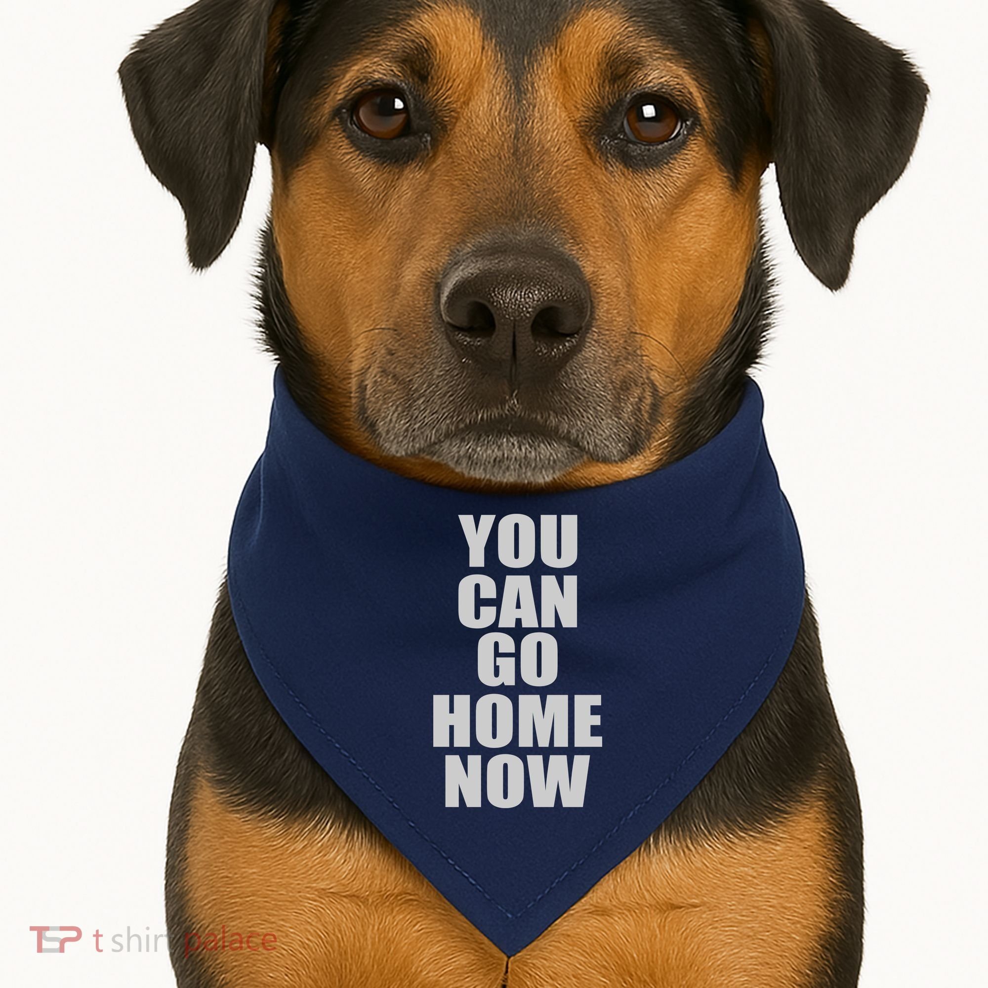 You Can Go Home Now Work Out Training Sweat USA-Made Doggie Bandana