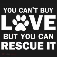 You Can't Buy Love But You Can Rescue It Bucket Hat thumb 4