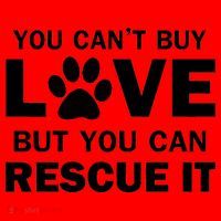 You Can't Buy Love But You Can Rescue It Santa Hat thumb 1