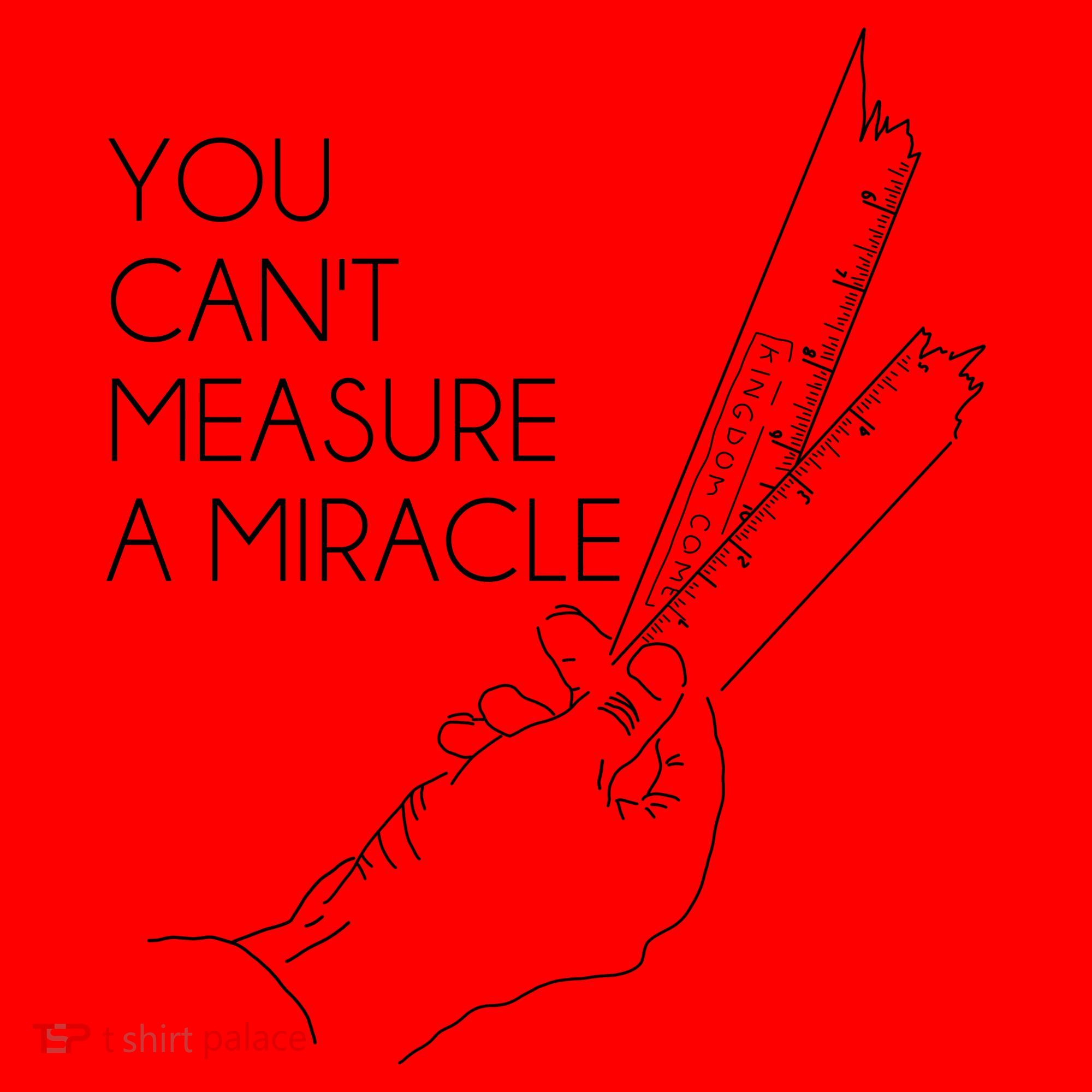 You Can't Measure A Miracle Funny Meme Santa Hat