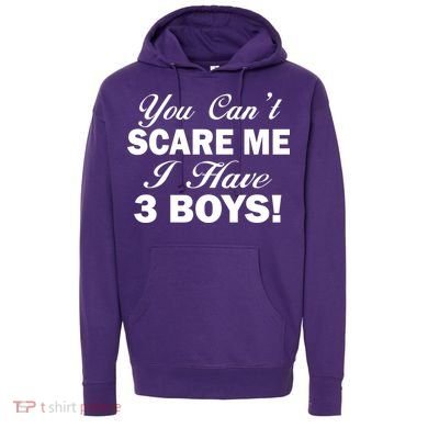 You Can't Scare Me I Have 3 Boys Hoodie