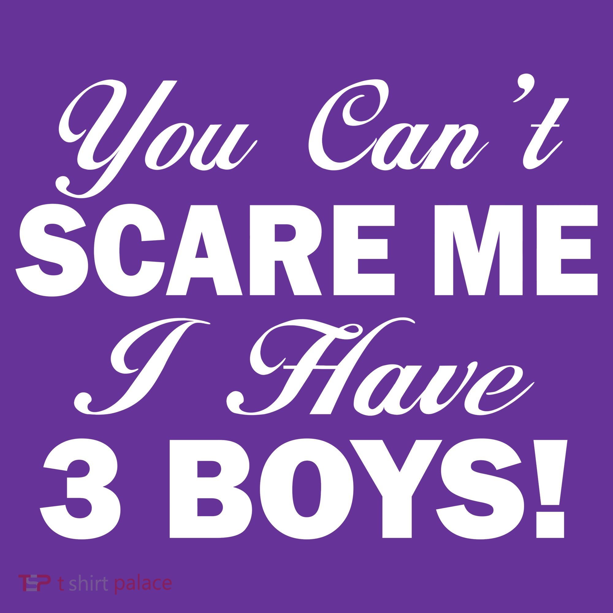 You Can't Scare Me I Have 3 Boys Coaster